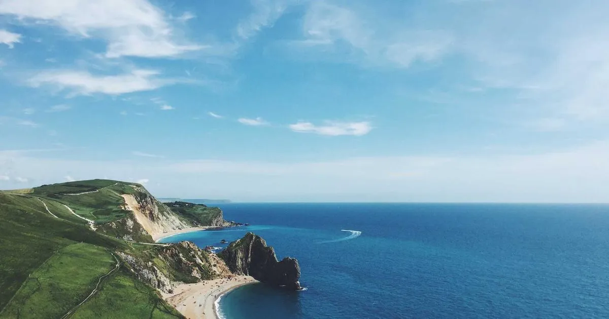 L avenir des vidéos courtes en 2025 : Découverte des nouvelles tendances sur TikTok, Instagram et YouTube Shorts